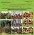 База данных "Лесная и деревообрабатывающая промышленность 2012"
